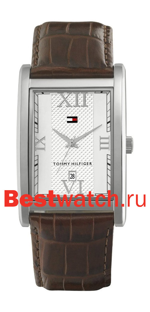 Часы Tommy Hilfiger Flagstaff 1710178
